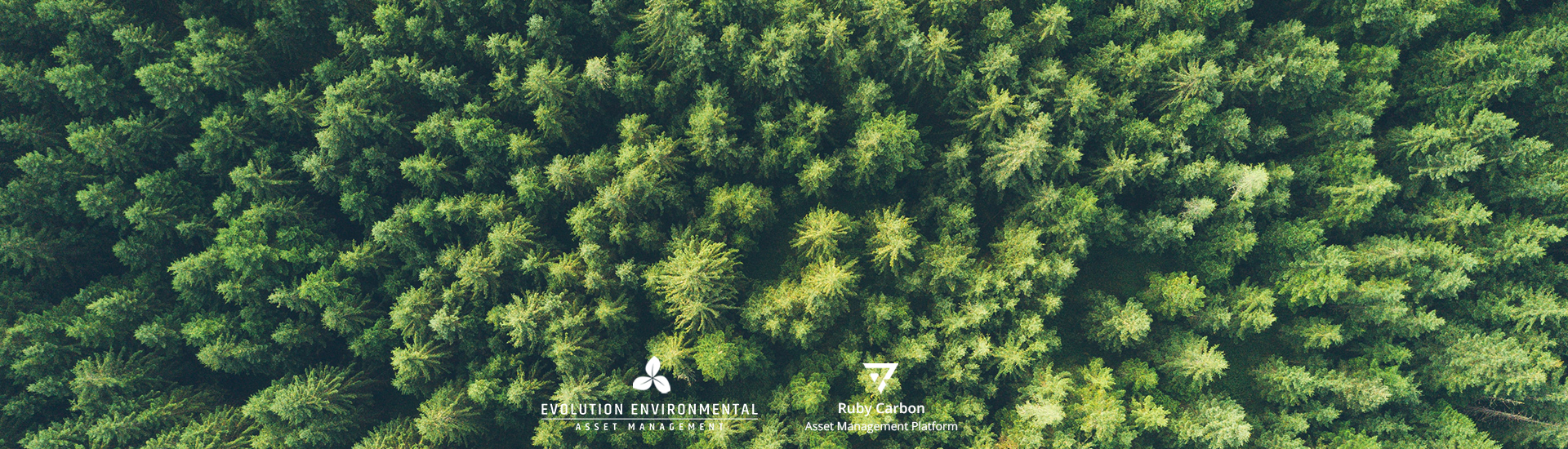 Decarbonization Blind Spot – Profiting from a Shift to Net Zero